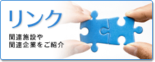 Link