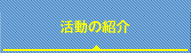 活動の紹介